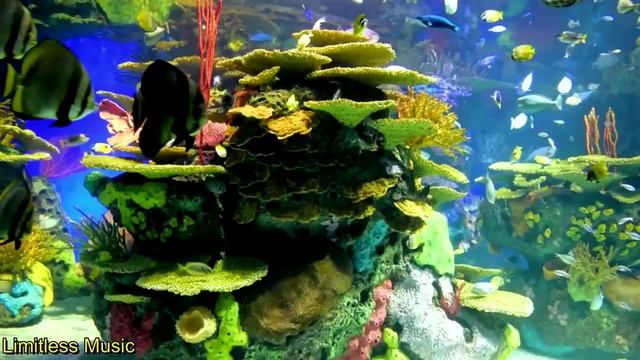 ❤️Music For Deep Sleep, Meditation And Relaxation. ?Beautiful Aquarium.