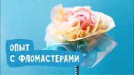 Опыт с фломастерами «Хроматография». Опыты для детей.