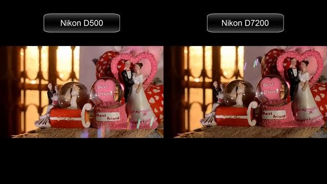 Nikon D500 vs Nikon D7200 Video Test