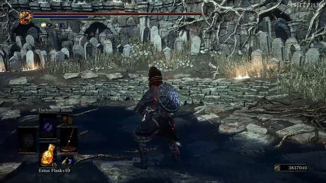 Dark Souls 3 Cinders Mod Weapon Showcase - Rakuyo