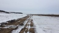 Катаем по полю на всесезонном мотобуксировщике "Дикий"