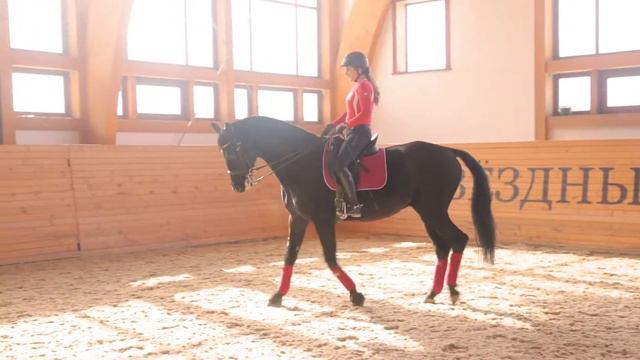 Анна Симакова объезжает новую лошадь 🏇