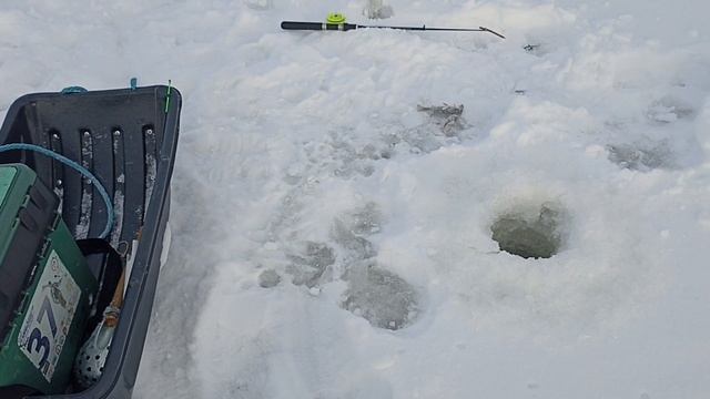 Зимняя рыбалка Лысьвенский пруд,конец сезона 2023г!