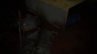 The Last of Us 2 - So Great and Small Trophy Guide | Одни из нас 2 - Трофей Великое в малом