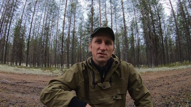 Потеря охотничьих собак