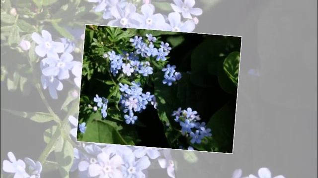 Открытка - Поздравляем / Postcard Congratulations