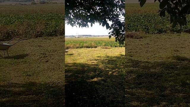 #деревня #дача #осень #беларусь #хорошаяпесня #сельскаяжизнь
