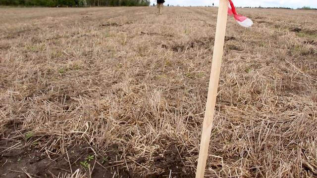 Фестиваль КЛАДОИСКАТЕЛЕЙ - GO MINELABBING LATVIA 2019 / Metal detecting rally