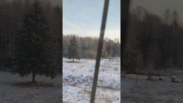 Ленобласть зимой