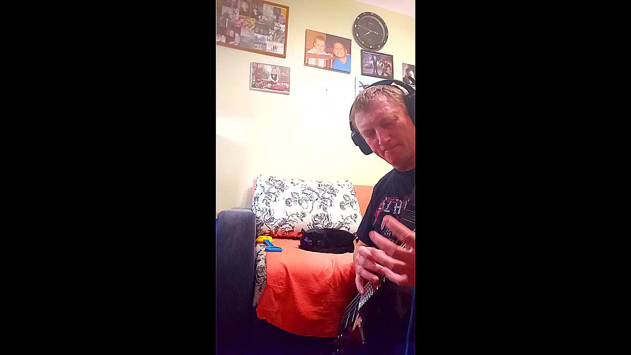 Бас тэппинг Спи мой котик! #shorts #bass #bassguitar #tapping #cat #бас #басгитара #тэппинг #кот