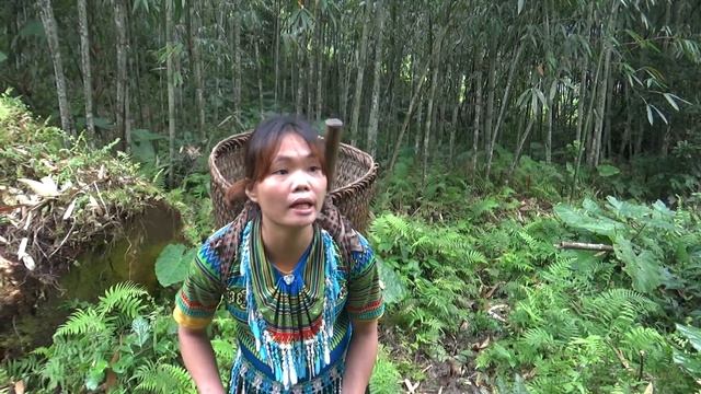 Primitive Life : Ethnic girl Solo Bushcraft meet forest people after finding food - Wild Life