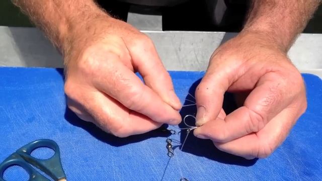 How To Rig a live Squid To Catch Kingfish | The Hook and The Cook