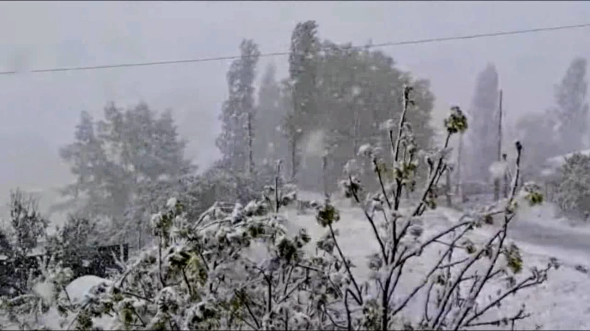 17 мая на Дагестан обрушился снегопад