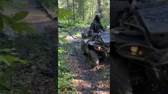 Квадроцикл ATV STELS GUEPARD new 2:0 mud offroad #ЗапрудКлуб