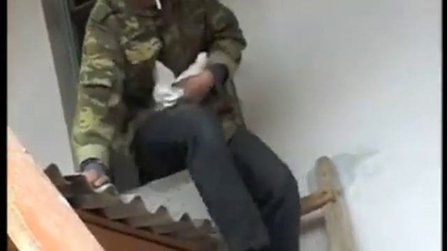 Бухарские голуби в Самарканде