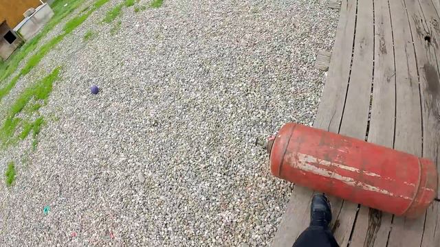 У Араба распухла рана, поехали в клинику ... У Багиры глубокая рана... пришлось шить Питбуля самому