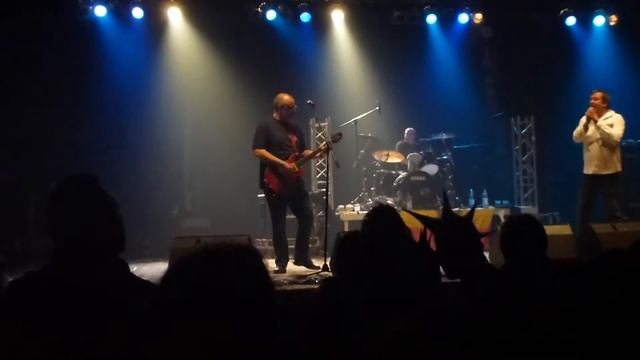 Lokalmatadore - Mongo mit der Bongo live (Kassierer)