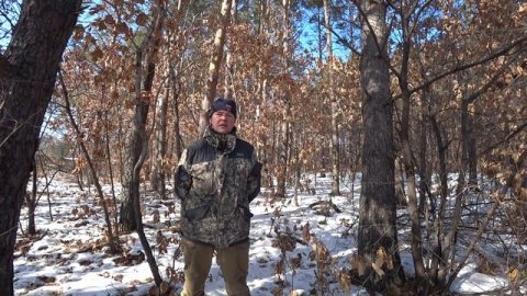 Приглашение на выставку собак охотничьих пород.