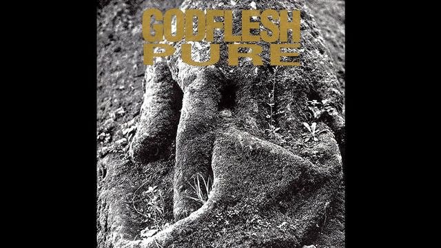 Godflesh - Spite Official Audio