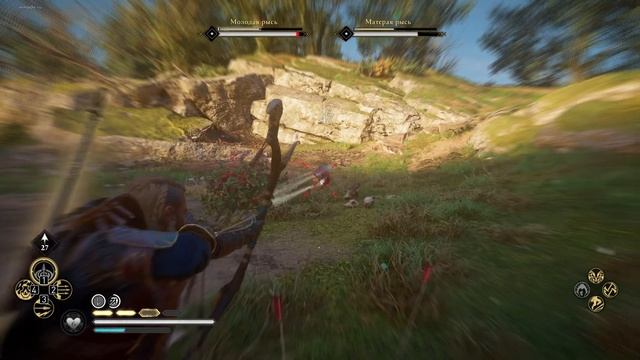 Редкие животные: Стейнбьёрн; Медведи; Рыси; Волки; Чёрный Шак.  Assassin's Creed Valhalla Вальгалла