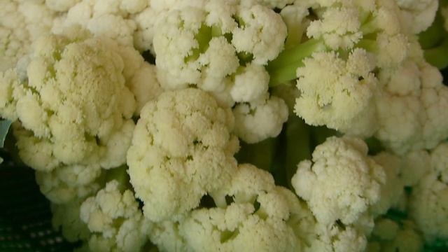 Early Spring Harvest - March 2016 - Beets, Broccoli and Cauliflower