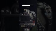 Фото звезд iPhone vs Canon