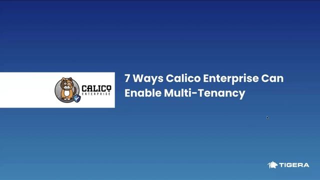 How Calico Enterprise Enables Your Kubernetes Multi-Tenancy