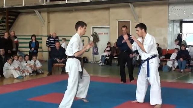 Чемпионат Луганской области по киоукушин каратэ в г. Лисичанск 06.04.2013