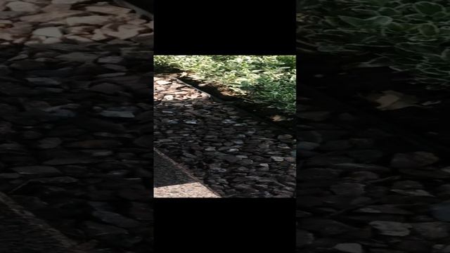 Краснодар красивые места