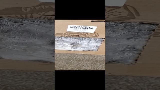 VID_20230906_095700.mp4