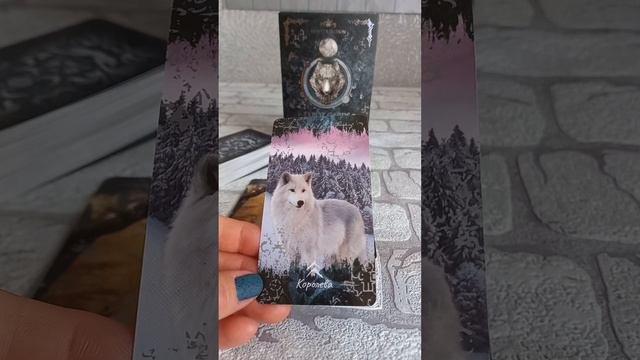 ЧТО ОТ ВАС  НУЖНО  МИРУ‼️🎆💚  Таро Волка🐺 и Луны🌕