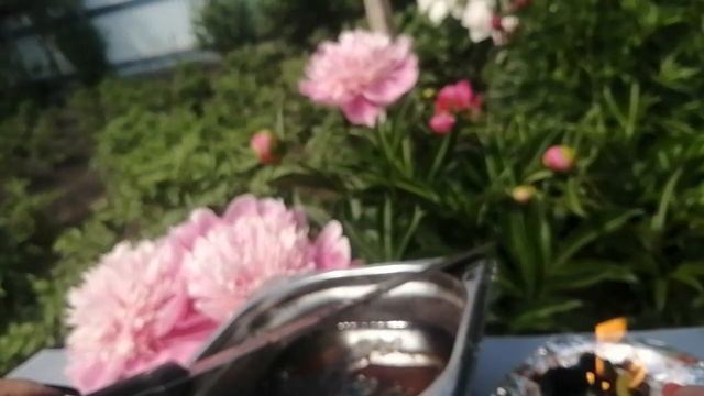 Ритуал-чистка снятие порчи обменников и крадников. ???