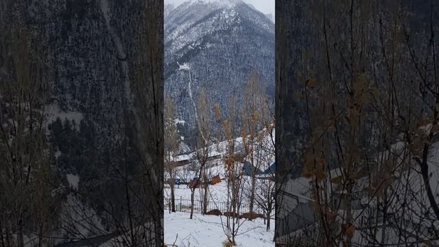 о музыке