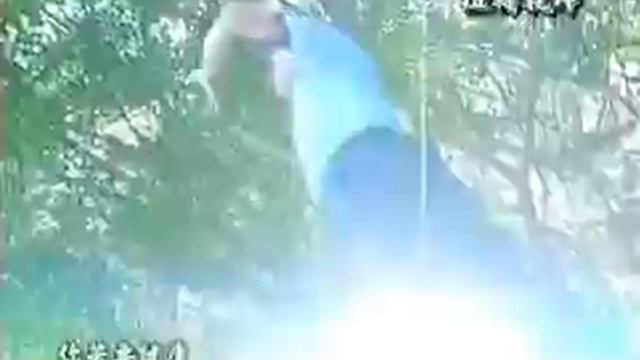 Зарядка №2 Рекомендую всем д-р Нодар Газнели FOHOW 五行健康操