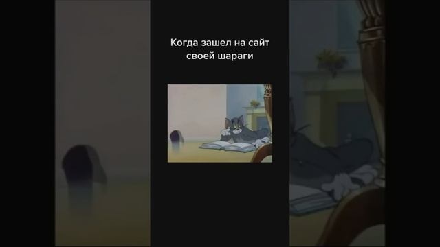 мемы #4