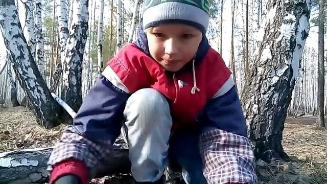 Как разрубить дрова без топора