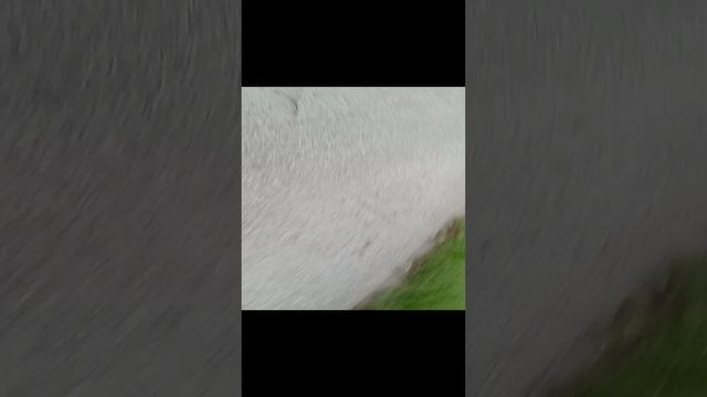 парня за другом