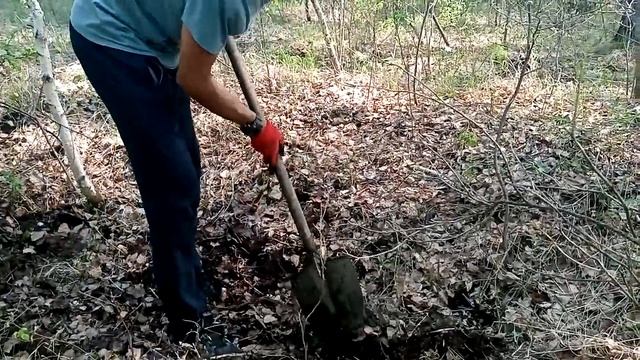 Копаем чермет   Анна Юрьевна в ударе! Minelab GO-Find 11.mp4