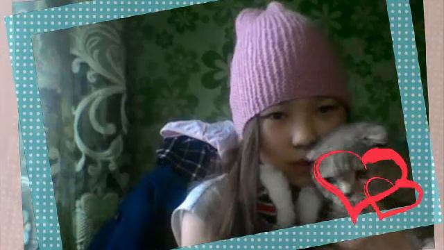 Моя новая кошка.
