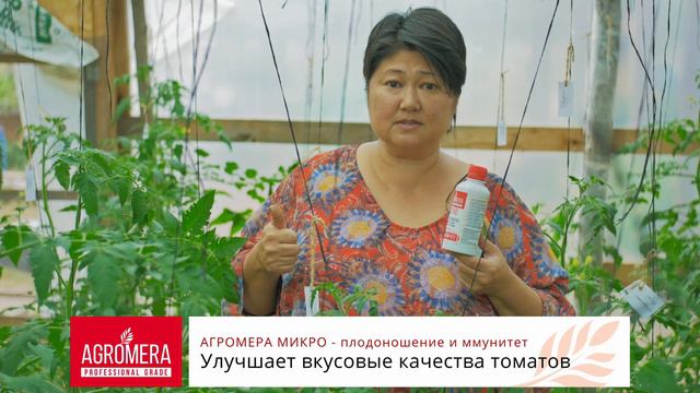 Полный набор микроэлементов для налива и цветения томатов в Агромера МИКРО