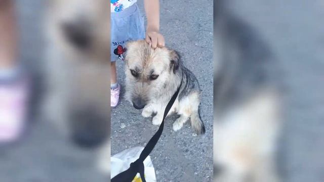 из Саратова в Америку, навсегда.
