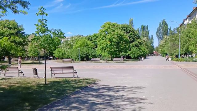 Бердянск май 2024, прогулка по парку Гайдар среди акаций.