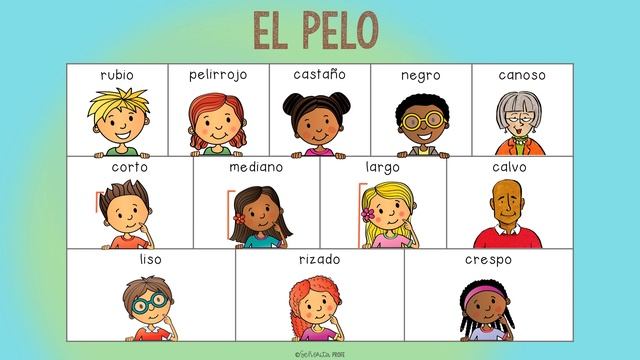 EL PELO - Spanish Hair Description