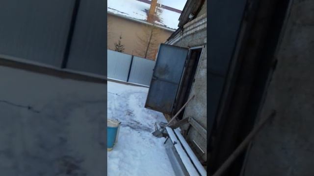 Пагода -10