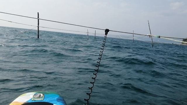 Sup-Board Мерзкая волна на рыбоферме