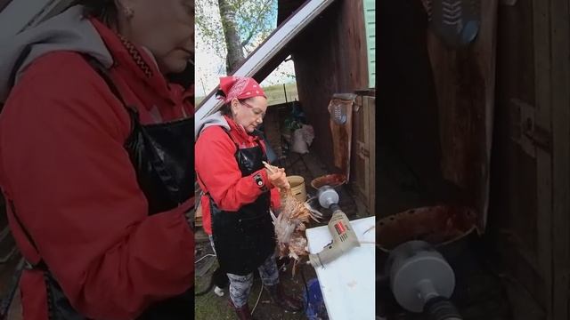 Дак Мастер перосъемная насадка