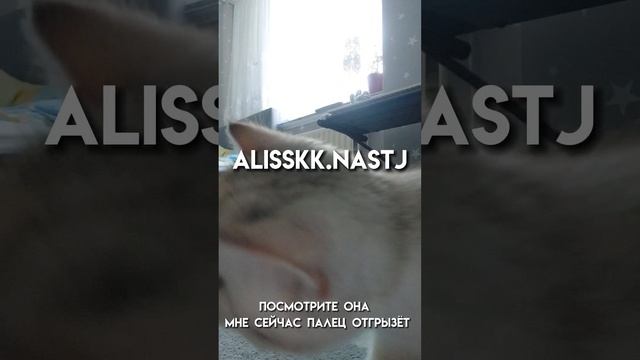 обзор на покупки???