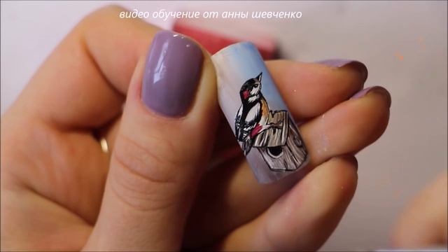 Видео курс "Птички" дистанционно