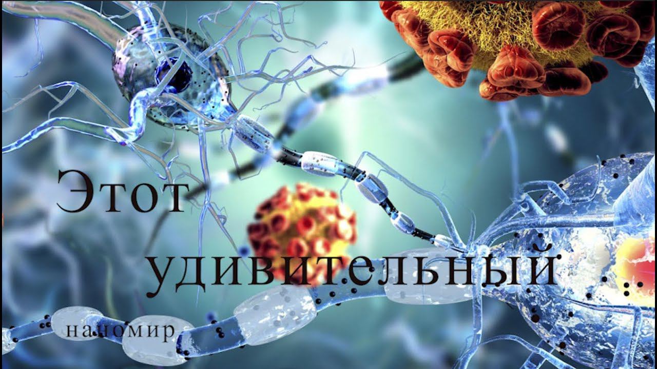 Этот удивительный наномир