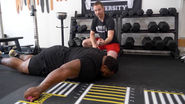 3 Shoulder Exercises You Should Do EVERYDAY!
